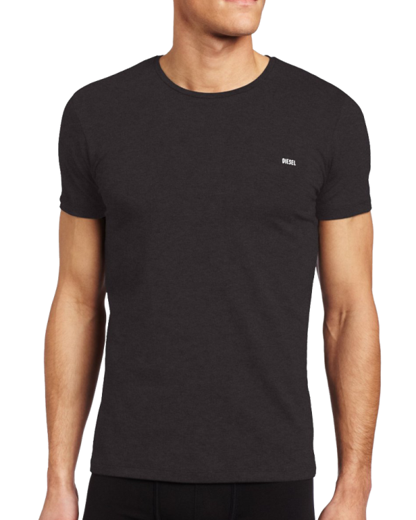 Diesel men s randal essentials logo t-shirt Sale