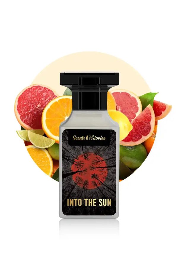 Into the Sun Online now